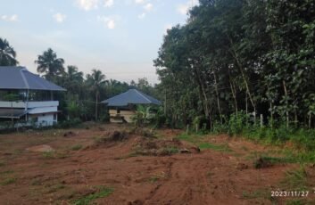 66 cent plot for sale near Cochin international Airport