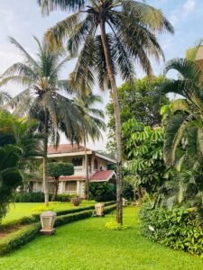 a lush green yard with a house in the background